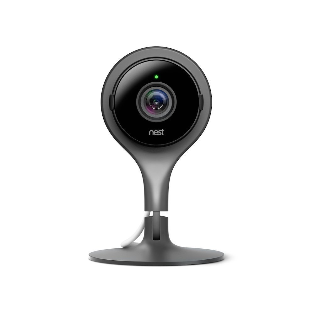 nest cam nas