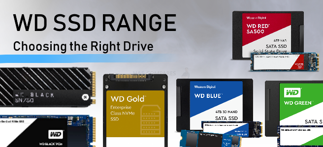 Wd Ssd Buyers Guide Blue Red Black Green Gold Difference Nas Compares